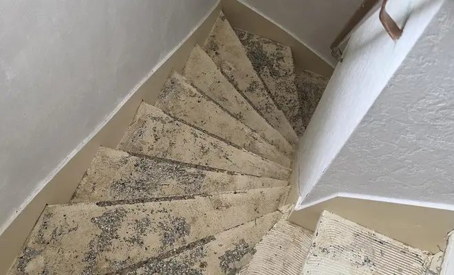 Rénovation en jonc de mer Home Rénov'24 à Bergerac!