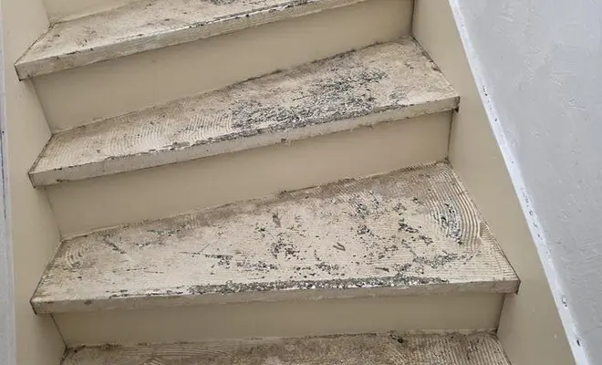 Rénovation en jonc de mer Home Rénov'24 à Bergerac!