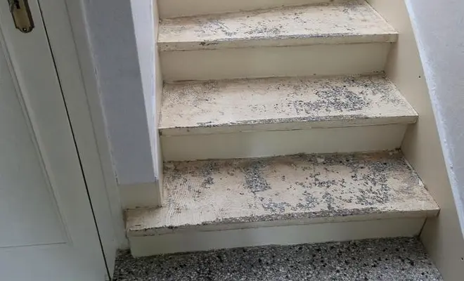 Rénovation en jonc de mer Home Rénov'24 à Bergerac!